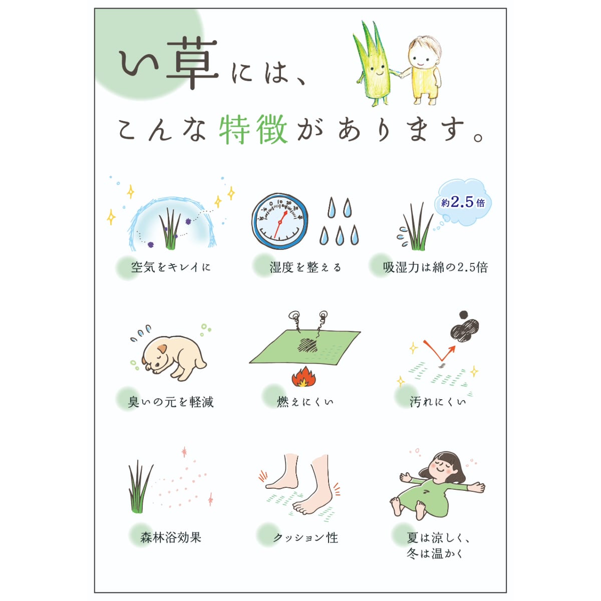 となりのトトロ い草 ミニ平枕 レトロ | どんぐり共和国そらのうえ店