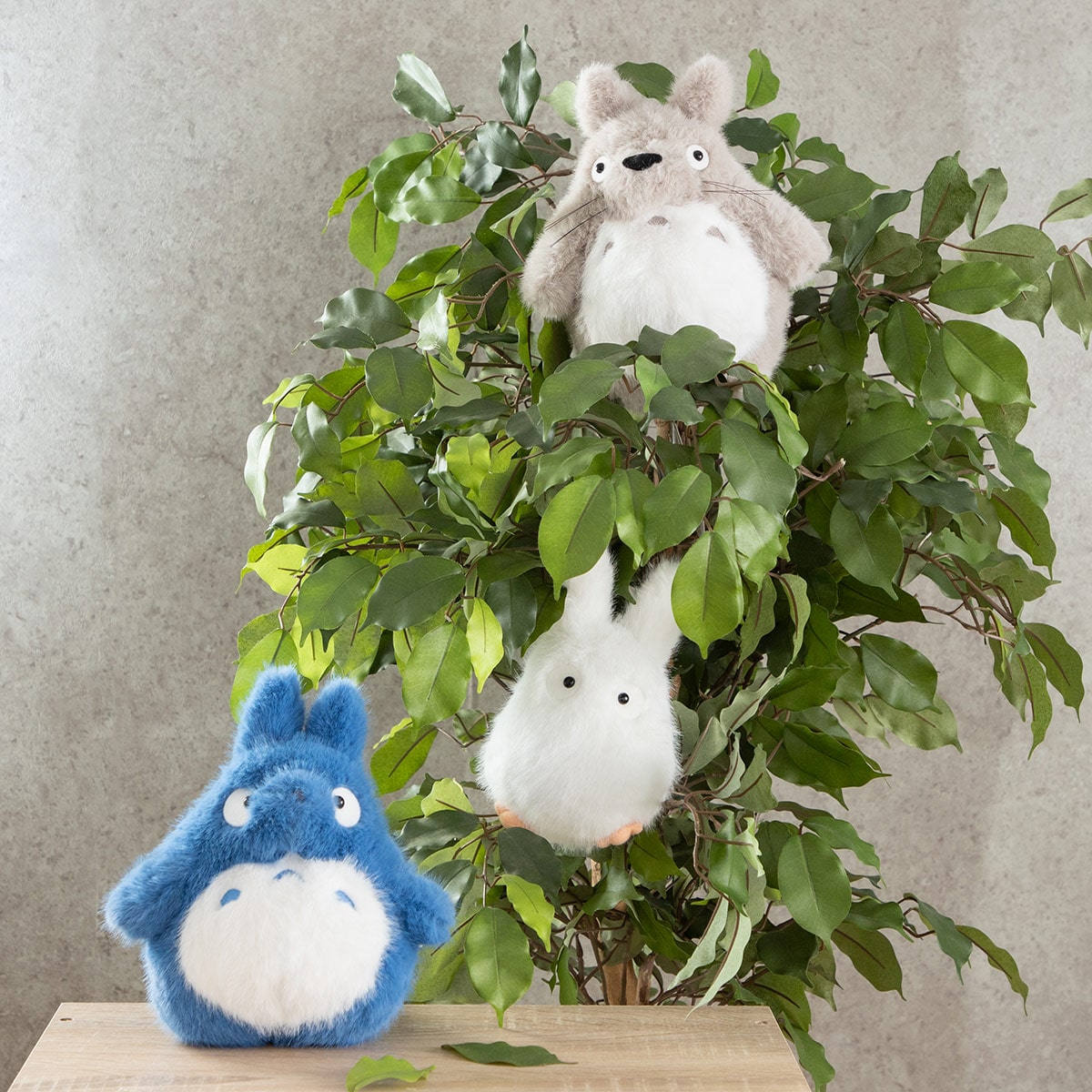 となりのトトロ こもれび 大トトロ | どんぐり共和国そらのうえ店