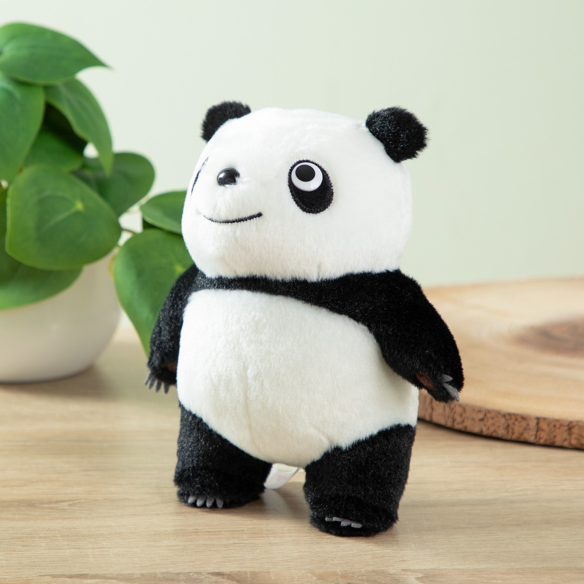 パンダコパンダマン パンダコパンダ パンちゃん 立ち | どんぐり共和国そらのうえ店