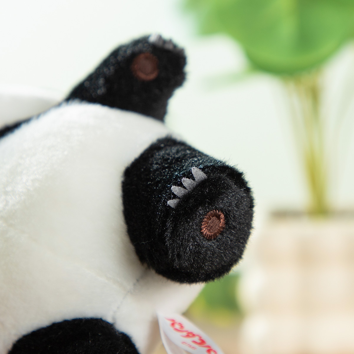 パンダコパンダ パンちゃん 立ち | どんぐり共和国そらのうえ店