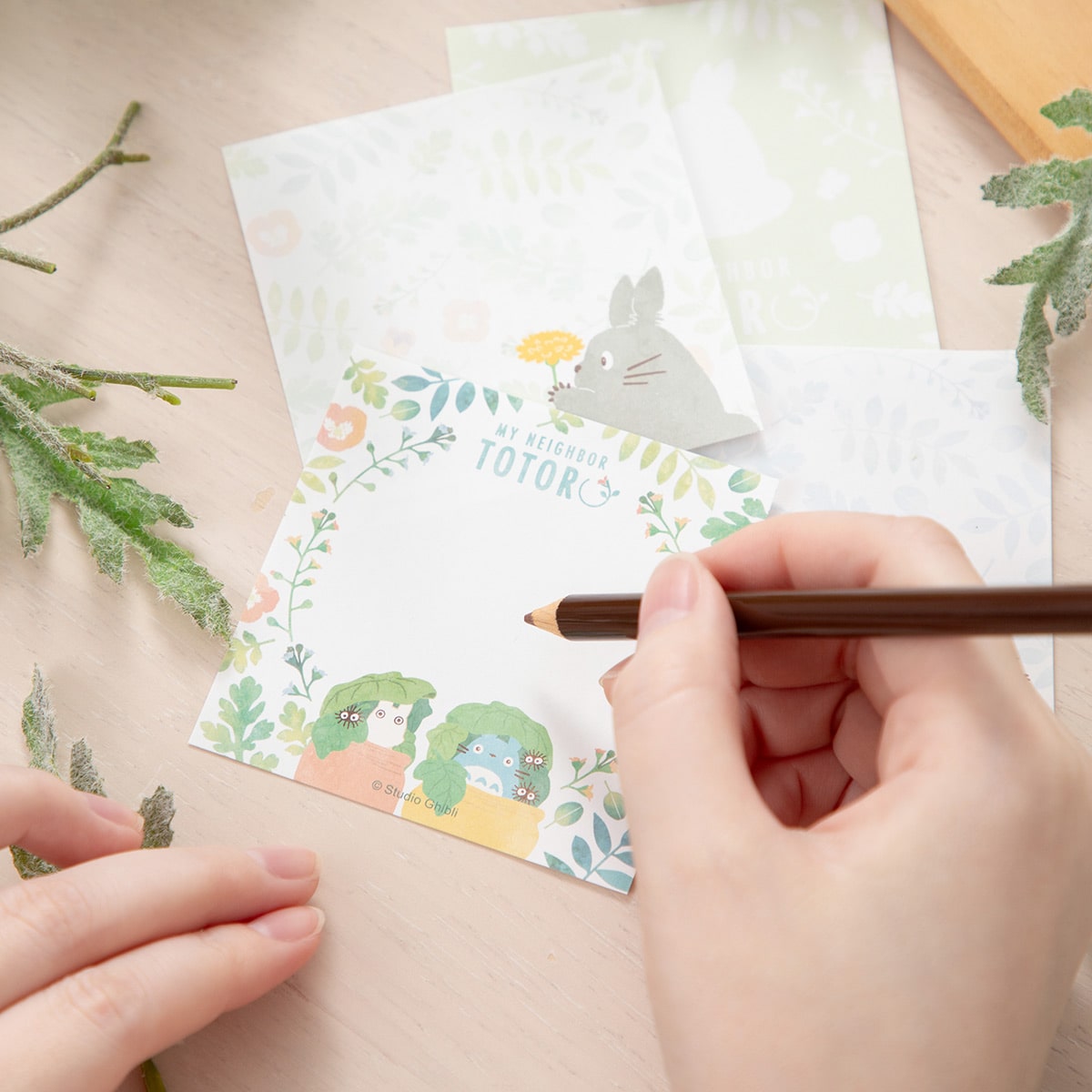 となりのトトロ メモ帳 カラフルリーフ柄 | どんぐり共和国そらのうえ店