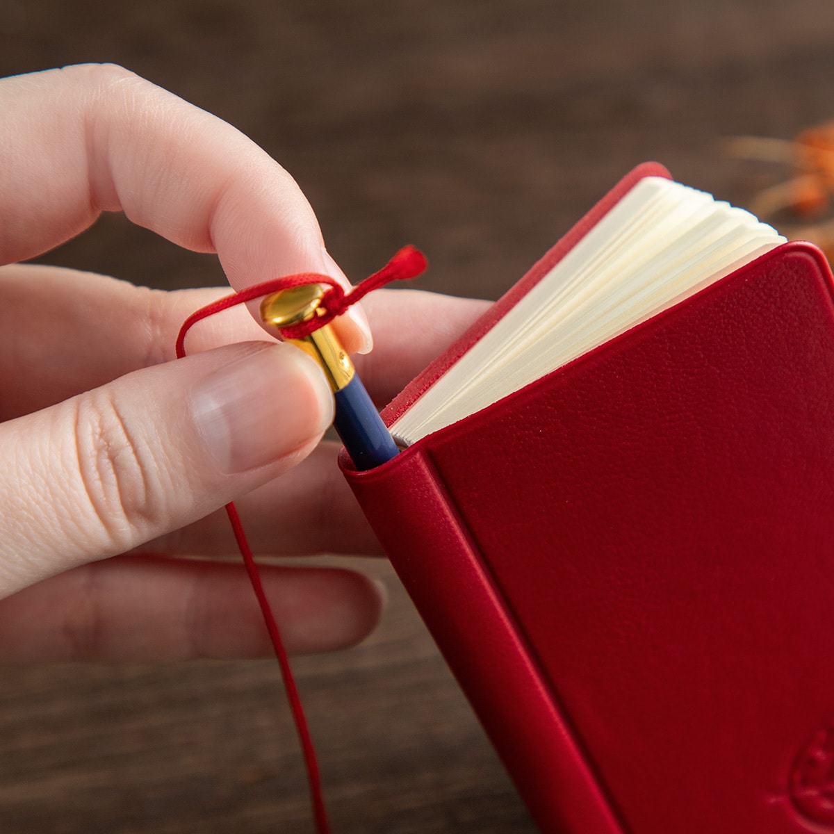 魔女の宅急便 キキのミニノート | どんぐり共和国そらのうえ店