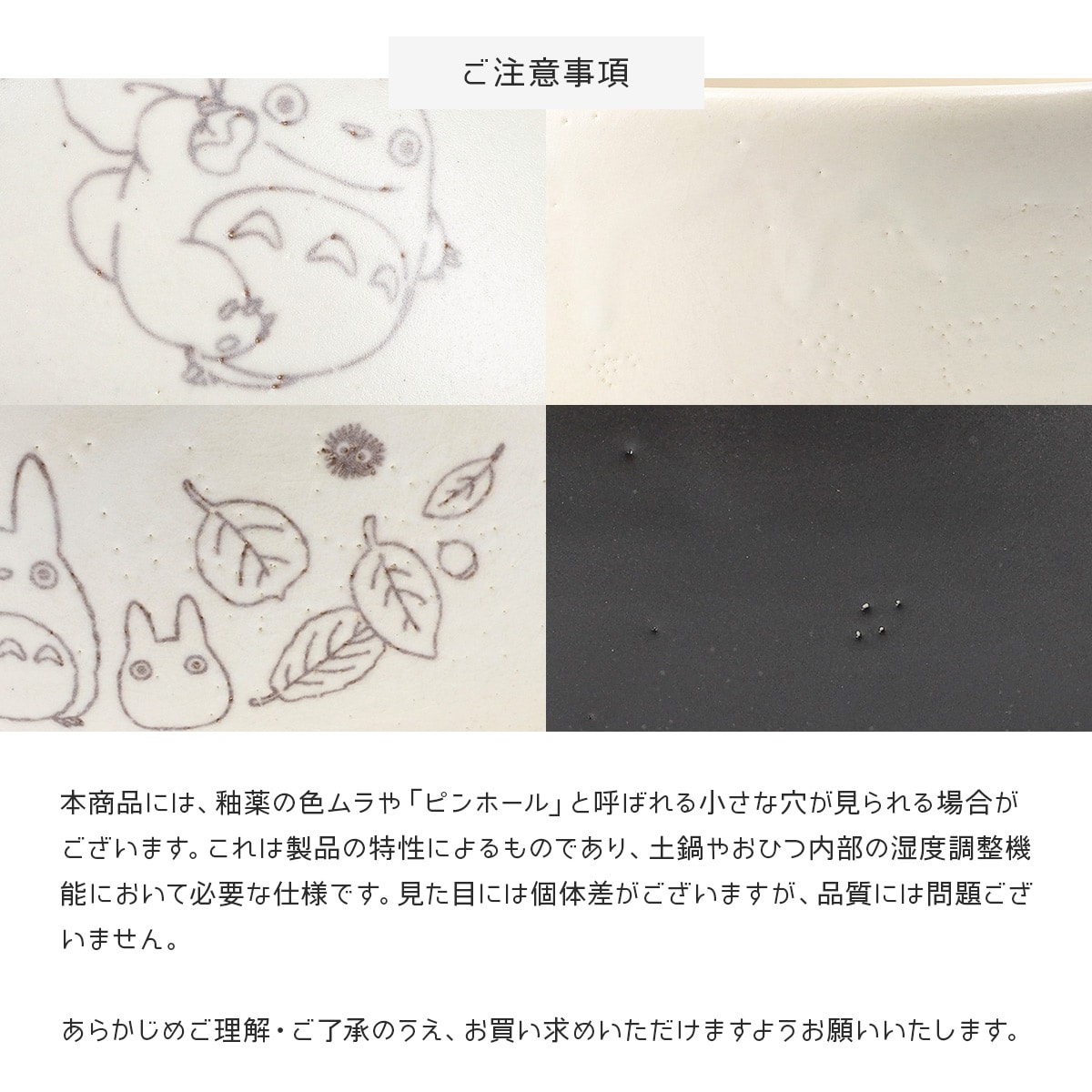 となりのトトロ 萬古焼 ごはん鍋(3合用) CHDN3 | どんぐり共和国そらの