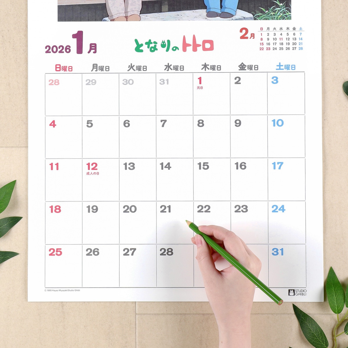 となりのトトロ2019年カレンダー となりのトトロ [2019年カレンダー] アニメ グッズ - Neowing