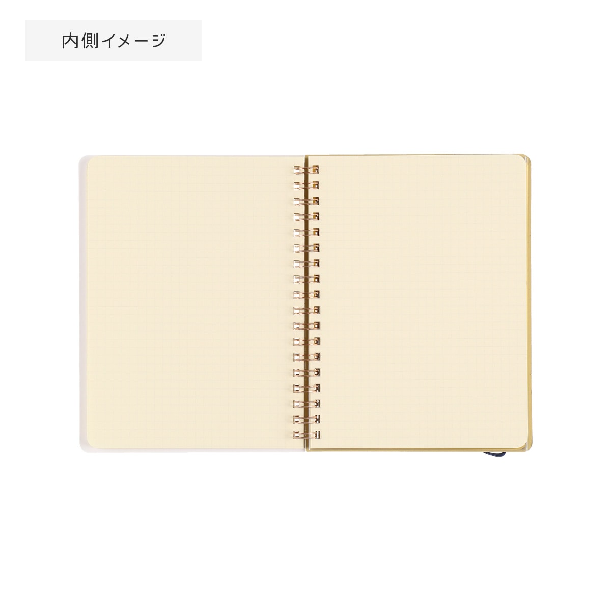 GBL】となりのトトロ ロルバーン ポケット付メモ L (どんぐり葉っぱ